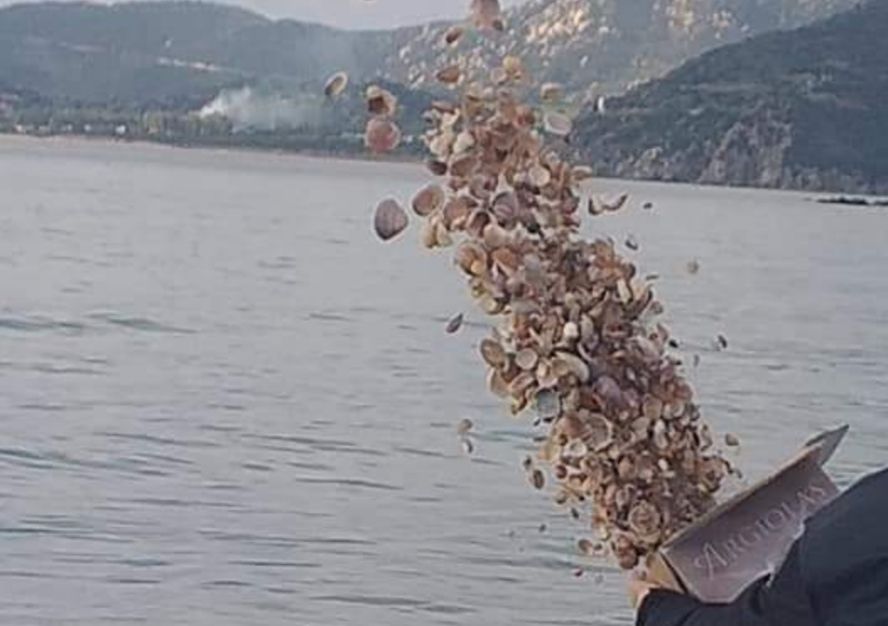 Villasimius, 40 chili di conchiglie rubate dai turisti ritornano “a casa” nell’oasi di Campulongu