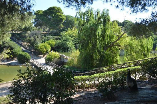 Cagliari, addio ai giochi di Monte Urpinu: “Sono vecchi e pericolosi”