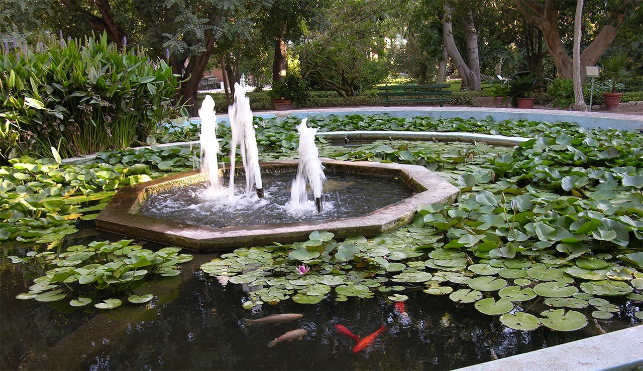 Cagliari, un anno da record per l’Orto Botanico