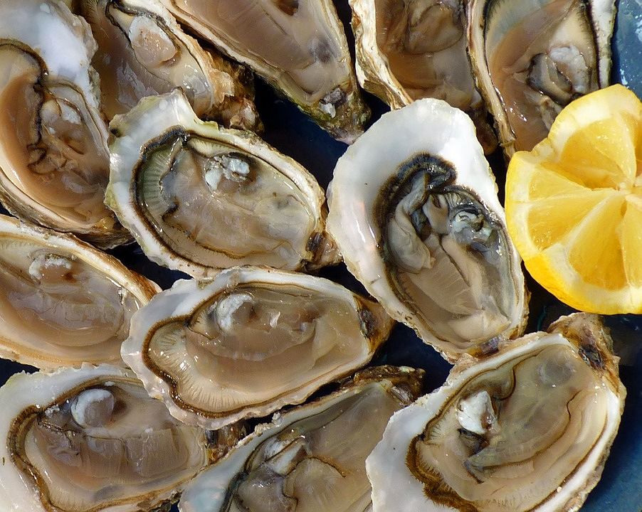 Ostriche contaminate, sale allerta UE: c’è il norovirus anche in molluschi provenienti dalla Francia