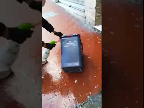 Prove tecniche di vera inciviltà a Cagliari: c’è chi vomita persino dentro i mastelli