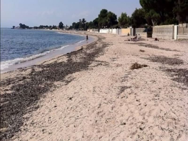 Il malore sul surf e poi la tragedia, Quartu piange Roberto Boi