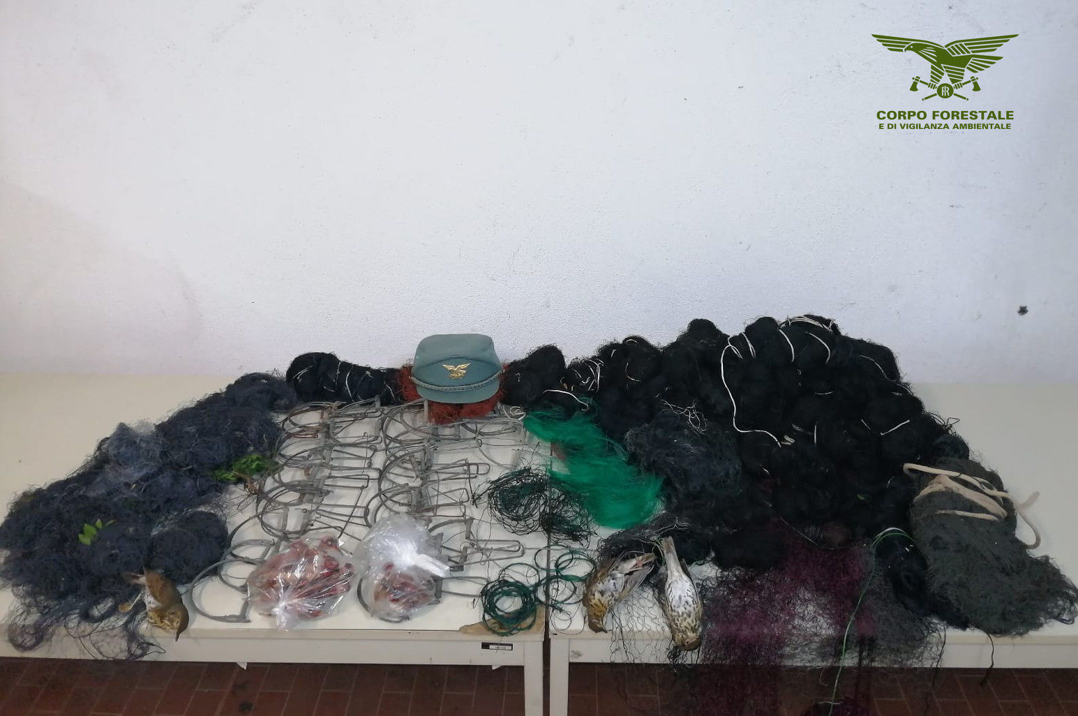 Scacco dei forestali ai bracconieri del sud Sardegna: dieci denunciati, sequestrate centinaia di trappole e lacci