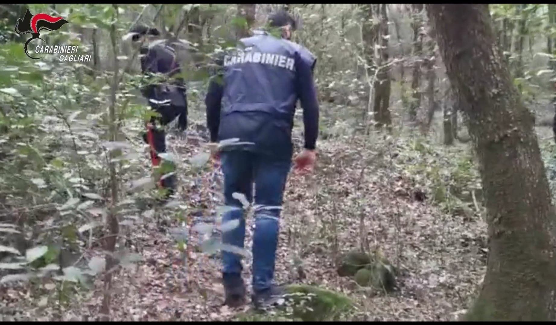 Iglesias, pistole e fucili clandestini nascosti nei monti di Fluminimaggiore: 4 arresti