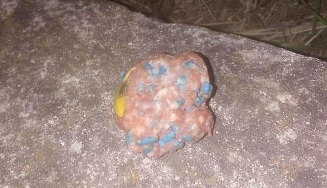 Polpette piene di veleno a Gonnesa e Bacu Abis, scatta l’sos: “Quattro gatti morti”