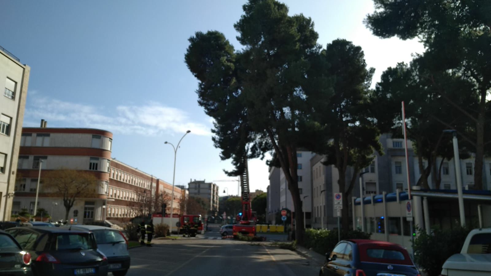 Super maestrale a Cagliari, grosso ramo crolla sopra un’auto in via Tuveri