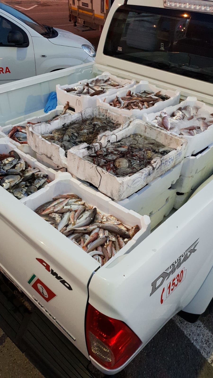 Cagliari, due quintali di pesce scaduto e sotto misura in viale la Playa e a San Benedetto: sequestri e multe