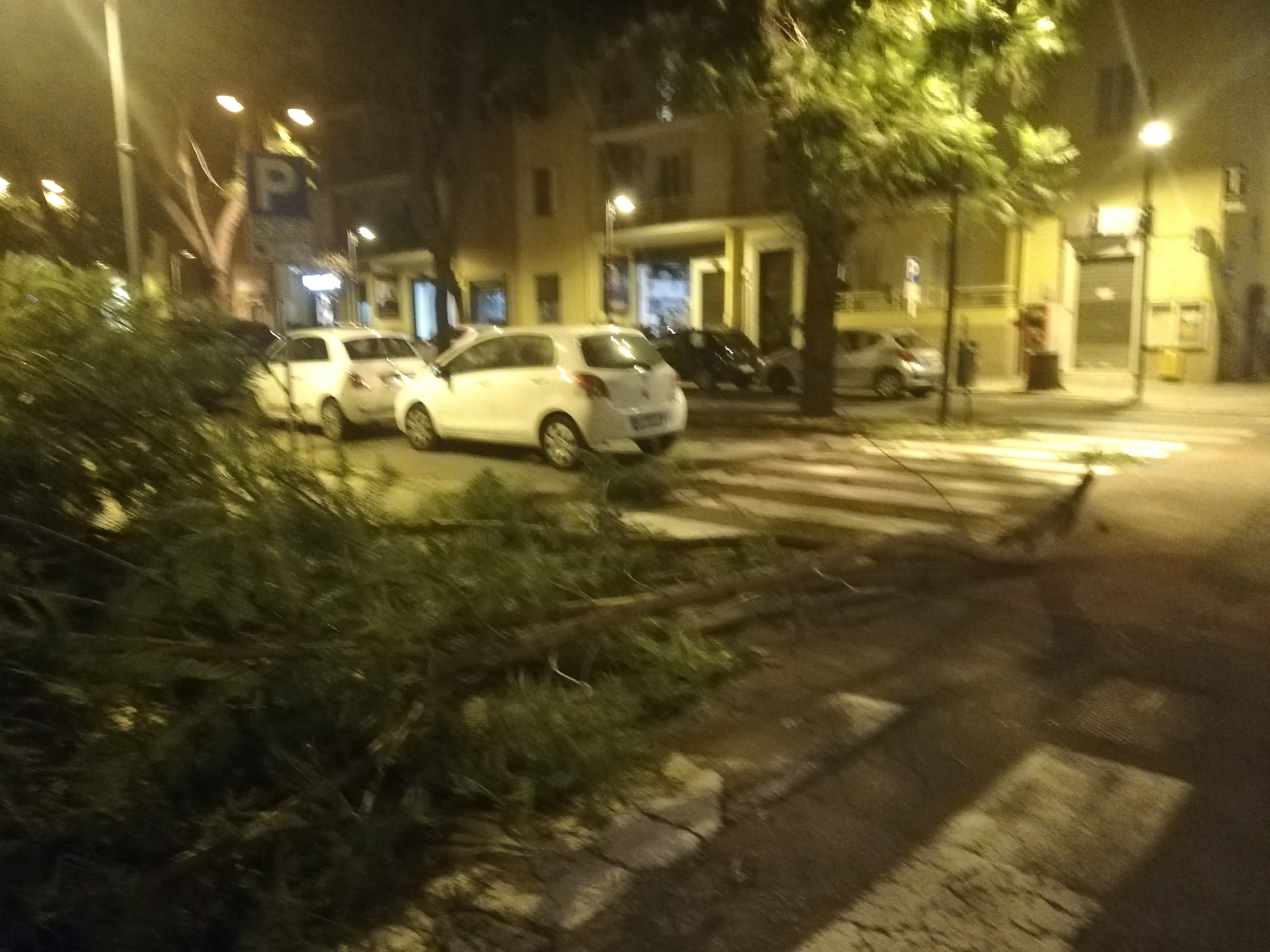 Maestrale furioso su Cagliari, 80 km orari: volano mastelli e grossi rami (VIDEO)