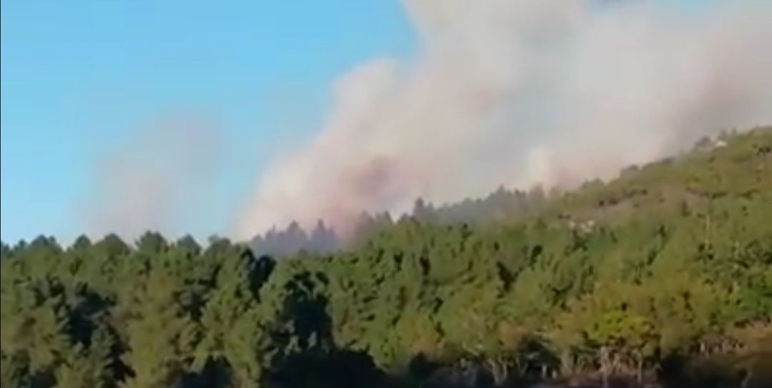 Maestrale in Sardegna, torna l’incubo incendi: fiamme nella pineta di Gairo