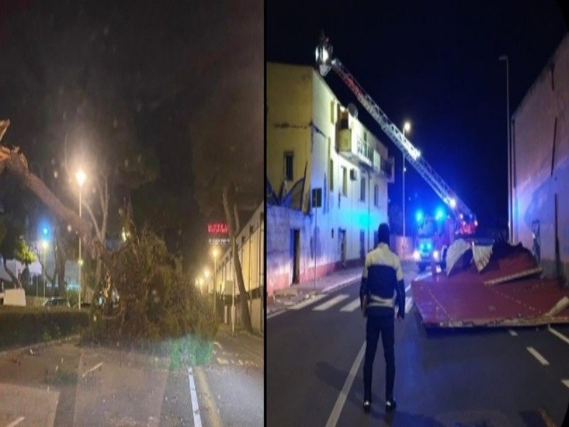 Rami, cartelloni e tettoie crollati: il risveglio di Cagliari dopo la bufera
