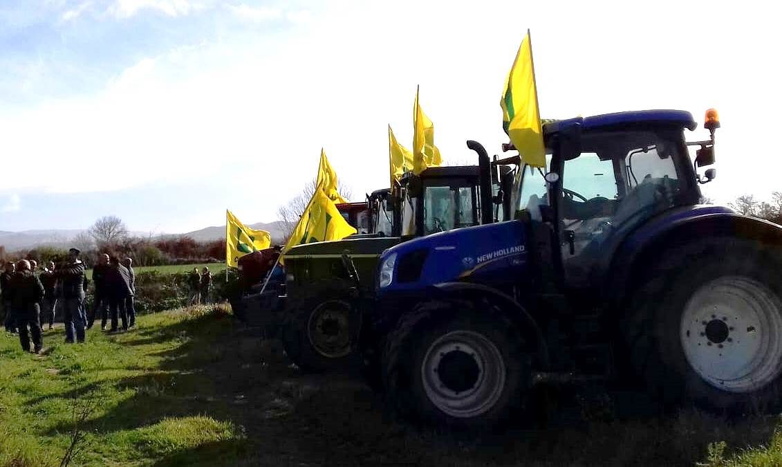 Trenta imprese agricole da mesi senz’acqua a Pabillonis, Coldiretti: “Assurdo”