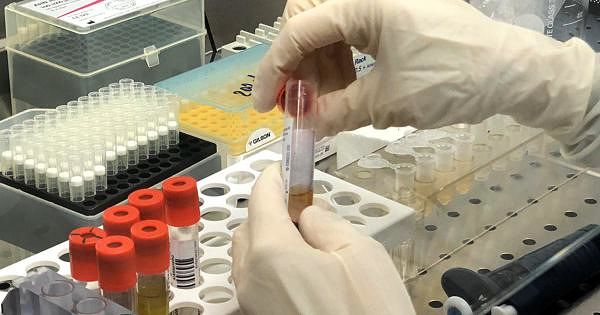 Coronavirus, negativi i test sulla coppia sarda: “Nessuna infezione”