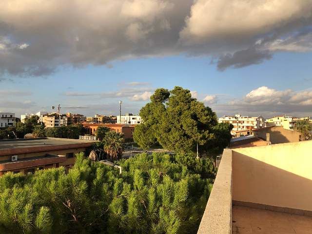 Elmas, appello al sindaco: “Non tagliamo i bellissimi pini nel centro del paese”