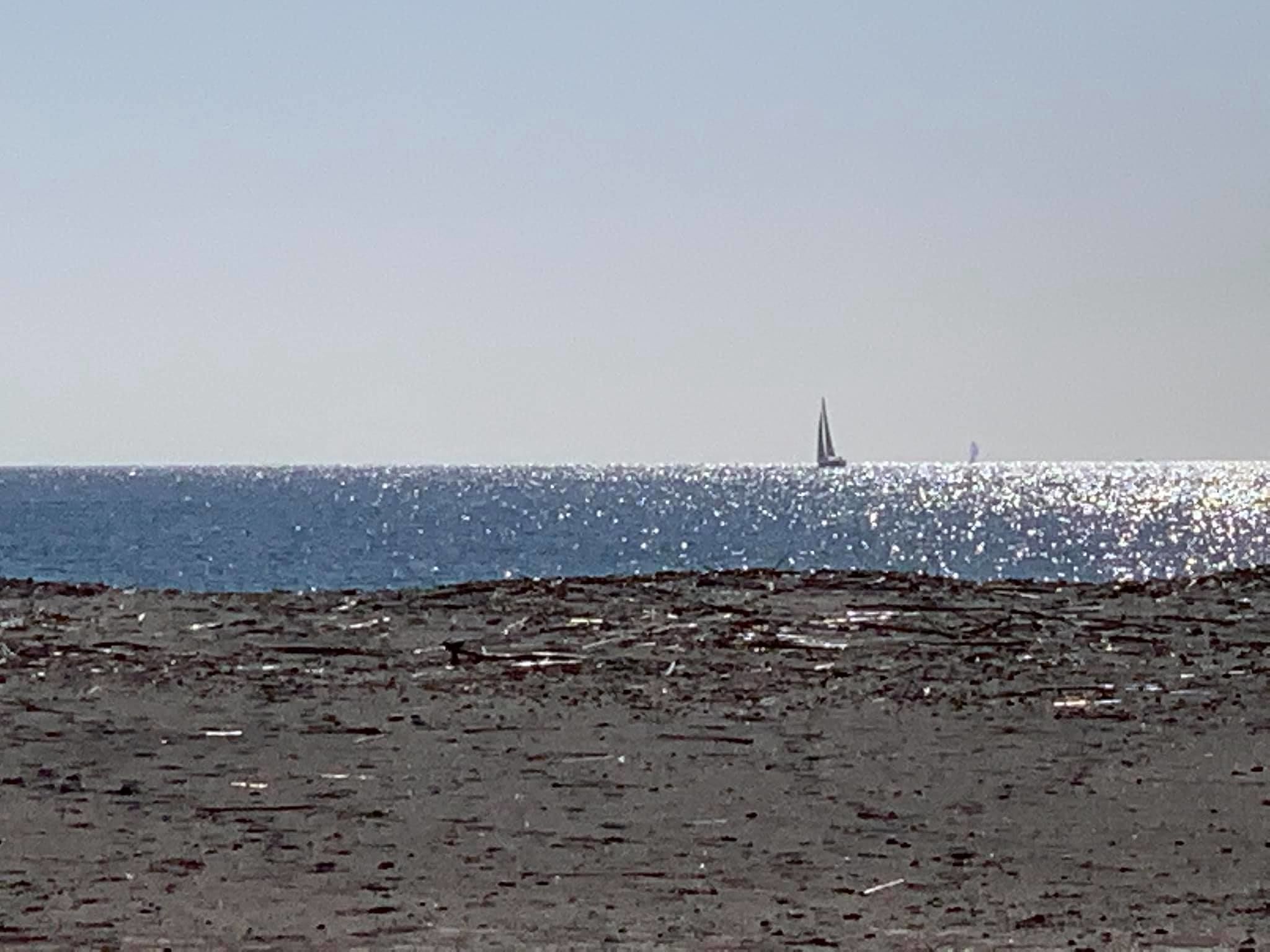Sardegna, una bellissima primavera anticipata: weekend con temperature intorno ai venti gradi
