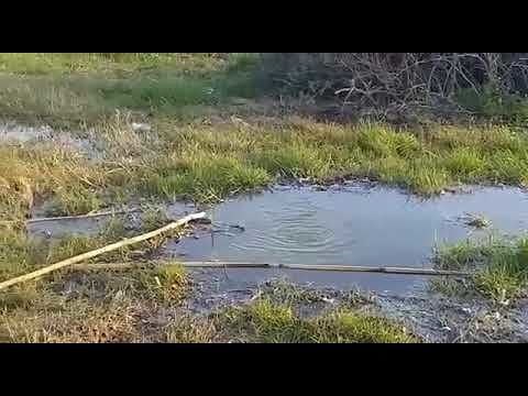 Quartu, fogna a cielo aperto sul rio Foxi a due passi dal mare: “Sos sanitario, intervenite”