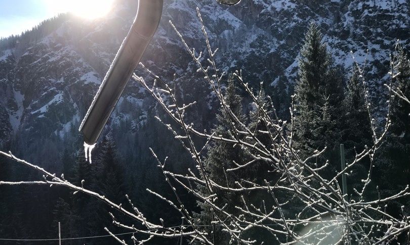 Ondata di freddo dalla Russia in arrivo: a rischio le coltivazioni in tutta Italia