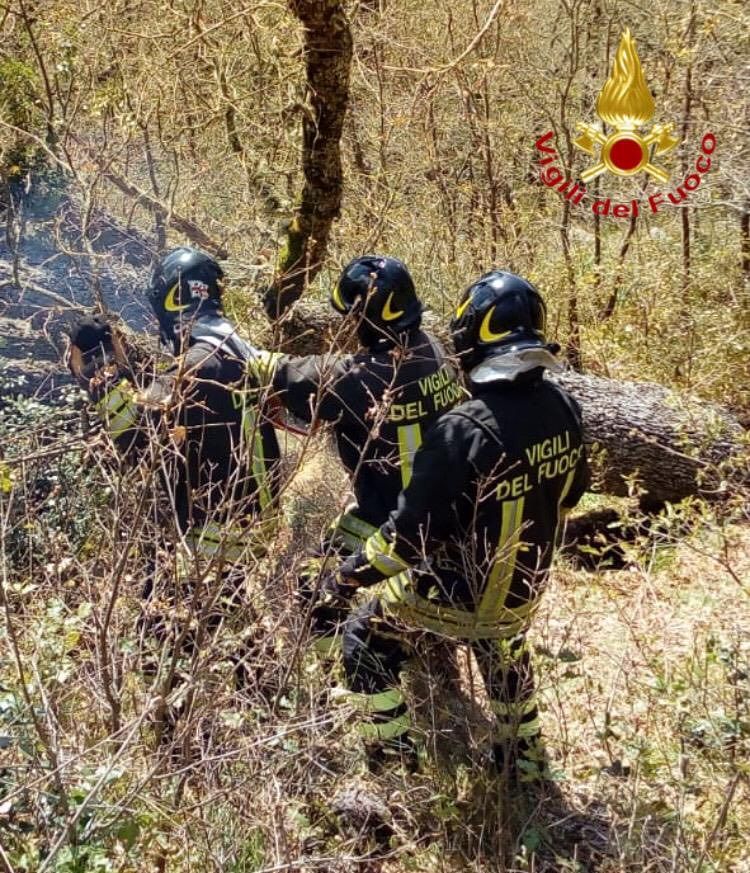 Dramma nelle campagne di Lodine: travolto da un albero, muore 60enne