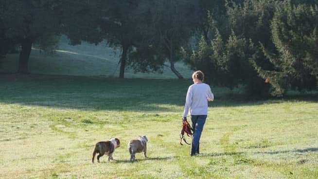 Coronavirus, sport e passeggiate vietate ad Aggius: “Troppe intollerabili gite fuori porta”