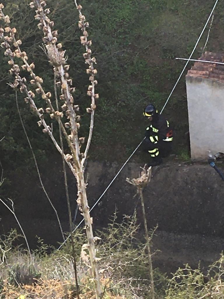 Vigili del fuoco in azione a Samassi per salvare la vita a un cane intrappolato in fondo a un canale