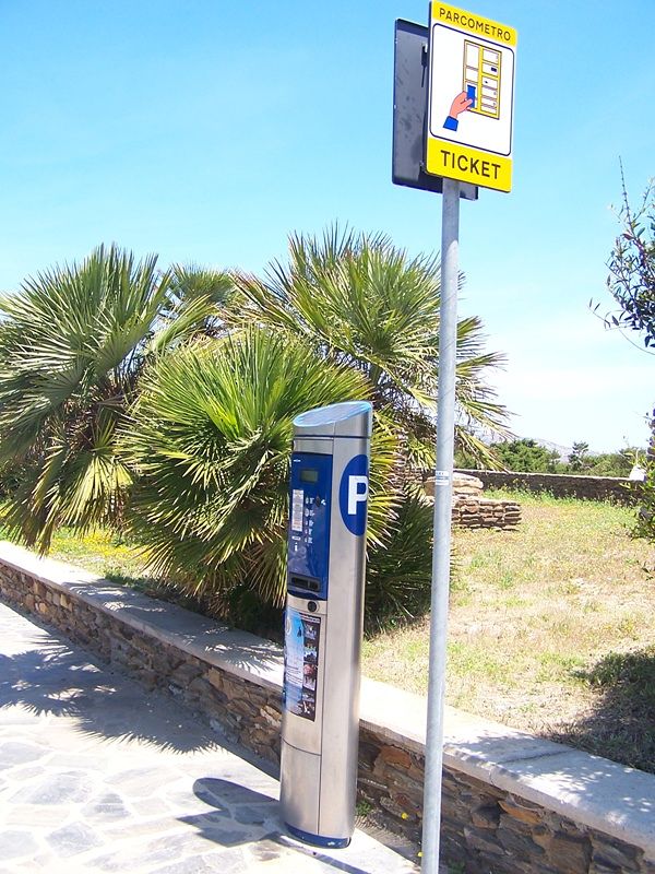 Servizi, manutenzione e vigilanza per la Pelosa