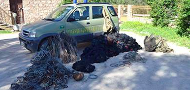 Siamanna, i forestali liberano uno sparviere impigliato nelle reti: denunciato un uccellatore