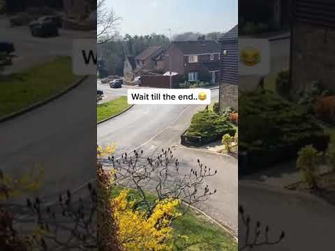 Si maschera da cespuglio per sfuggire a controllo anti Covid-19 – VIDEO