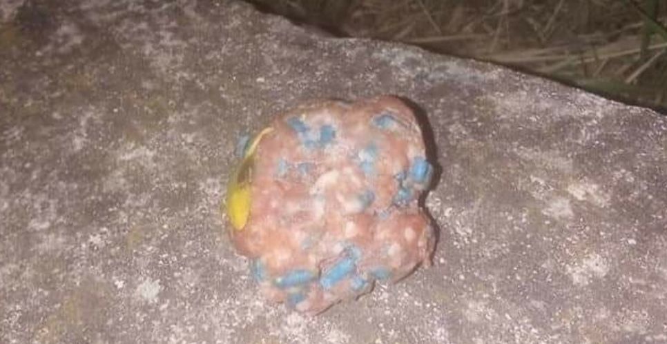 Sos a Gonnesa: “Un altro gatto morto dopo aver mangiato polpette avvelenate”