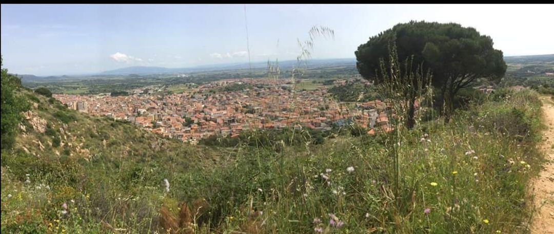 Fase due, Guspini già pronta alle riaperture di Solinas: “Spazi esterni gratis per bar e ristoranti”