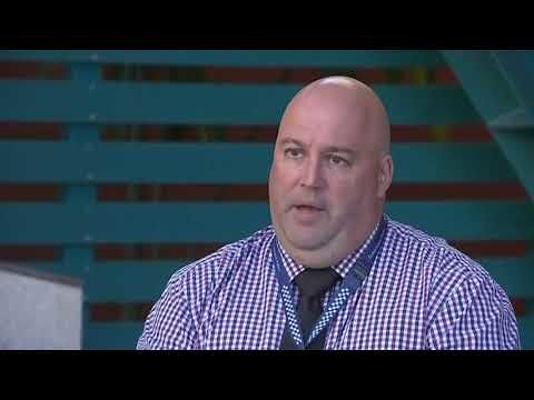 Australia, uno squalo uccide un ranger nella Grande Barriera Corallina del Queensland (VIDEO)