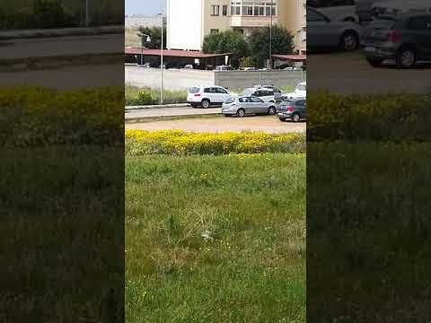 Il commovente appello della sindaca di Sestu: “Vogliamoci bene, teniamo duro: non usciamo per Pasqua” (VIDEO)