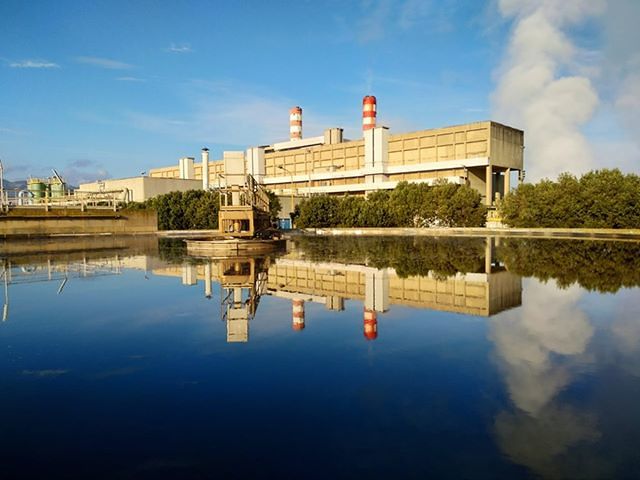La sorpresa a Macchiareddu: in tempi di lockdown anche l’acqua della laguna diventa più limpida
