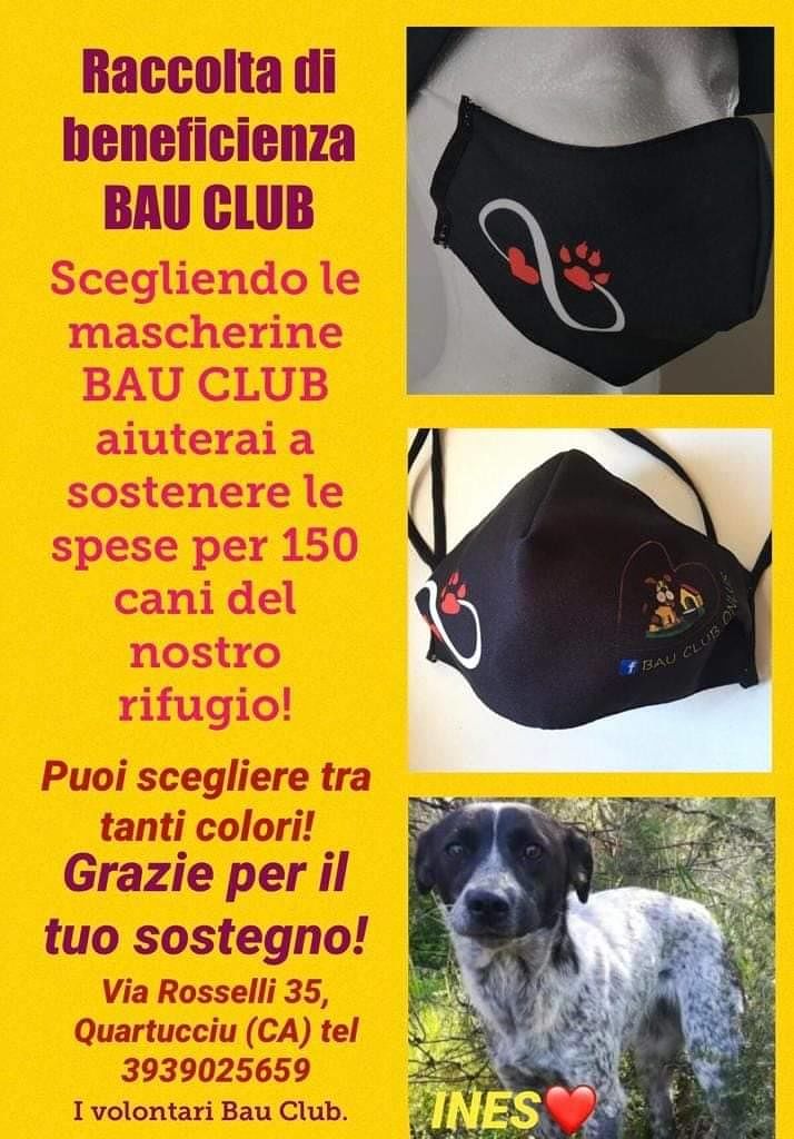 Mascherine solidali per aiutare gli amici a quattro zampe: un’offerta per il nuovo rifugio e per salvare 150 cani