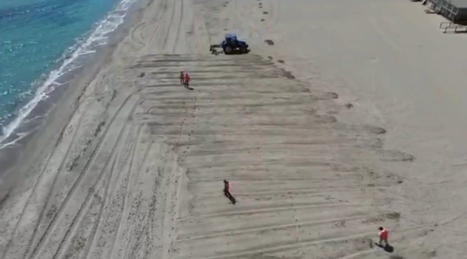Cagliari, la spiaggia del Poetto “ripulita” dalle canne: lo spettacolare video dall’alto