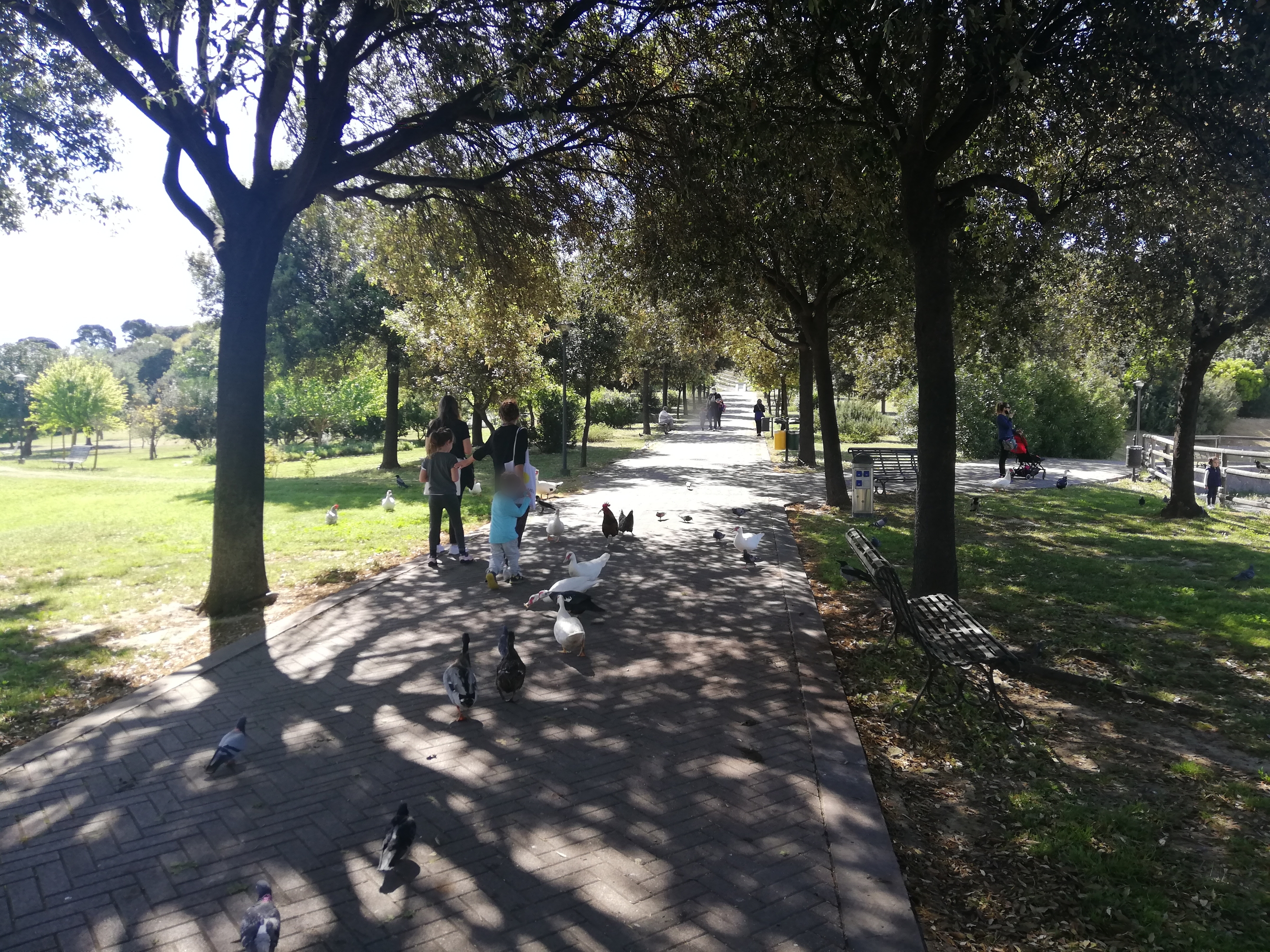 I cagliaritani tornano a respirare, tanti anziani a Monte Claro: “Eravamo stufi di passeggiare in casa”