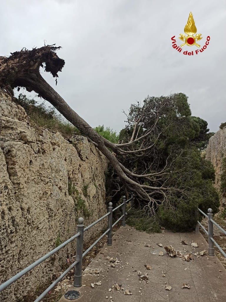 Forte vento nel Cagliaritano: alberi caduti, insegne divelte, antenne e coperture volate via