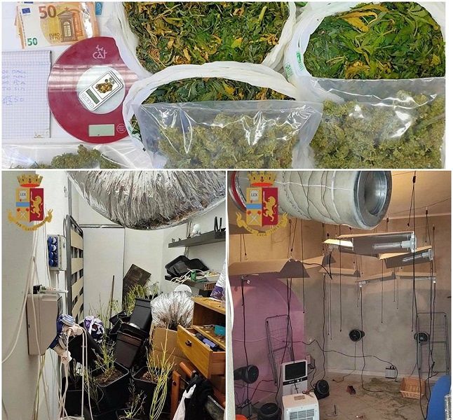Monserrato, con un allaccio abusivo alimentava una serra di marijuana in casa: arrestato