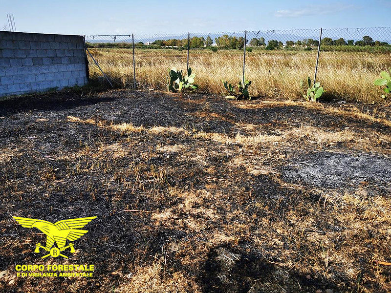 Primo incendio dell’anno nel cuore di Molentargius, la Forestale scopre subito il piromane: è un 70enne quartese