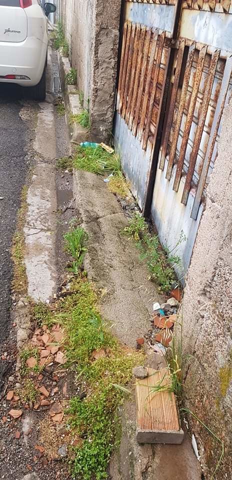 Monserrato, slalom tra buche ed erbacce alte nelle strade: “Qui manca la manutenzione”