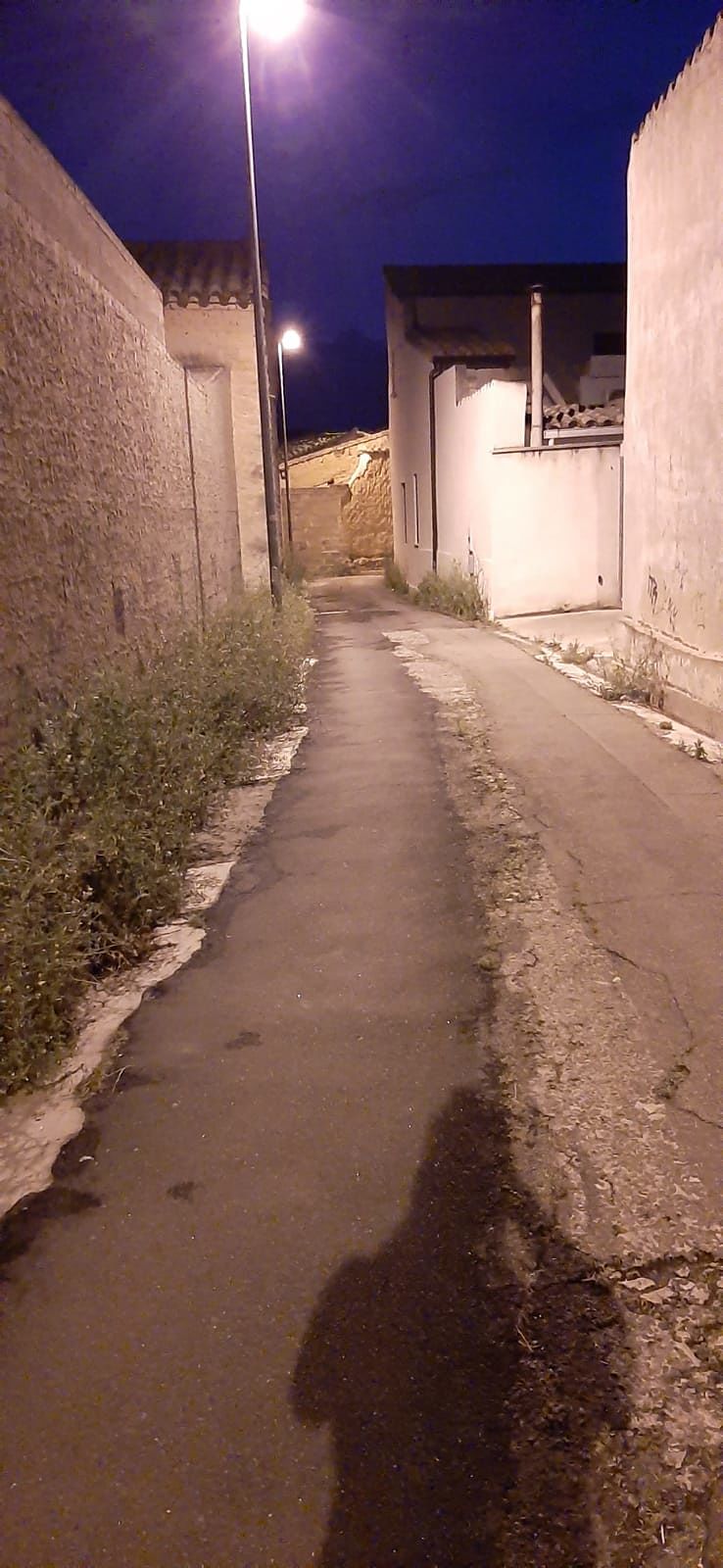 “Erbacce, blatte e vermi in alcune zone di Serramanna”: le segnalazioni dei cittadini