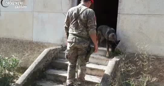 Trinità d’Agultu, sgominata banda dello spaccio al centro d’accoglienza: otto in manette