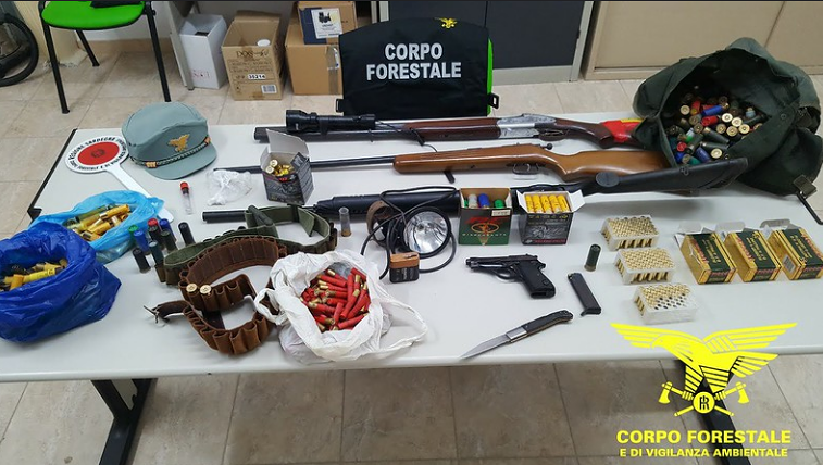 Con una scarica di pallettoni uccide un cervo sardo: denunciato bracconiere di Sardara