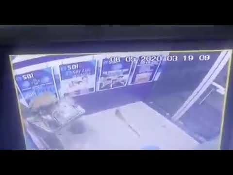 Assalto al Bancomat, giù lo sportello…ma il criminale è una scimmia (VIDEO)