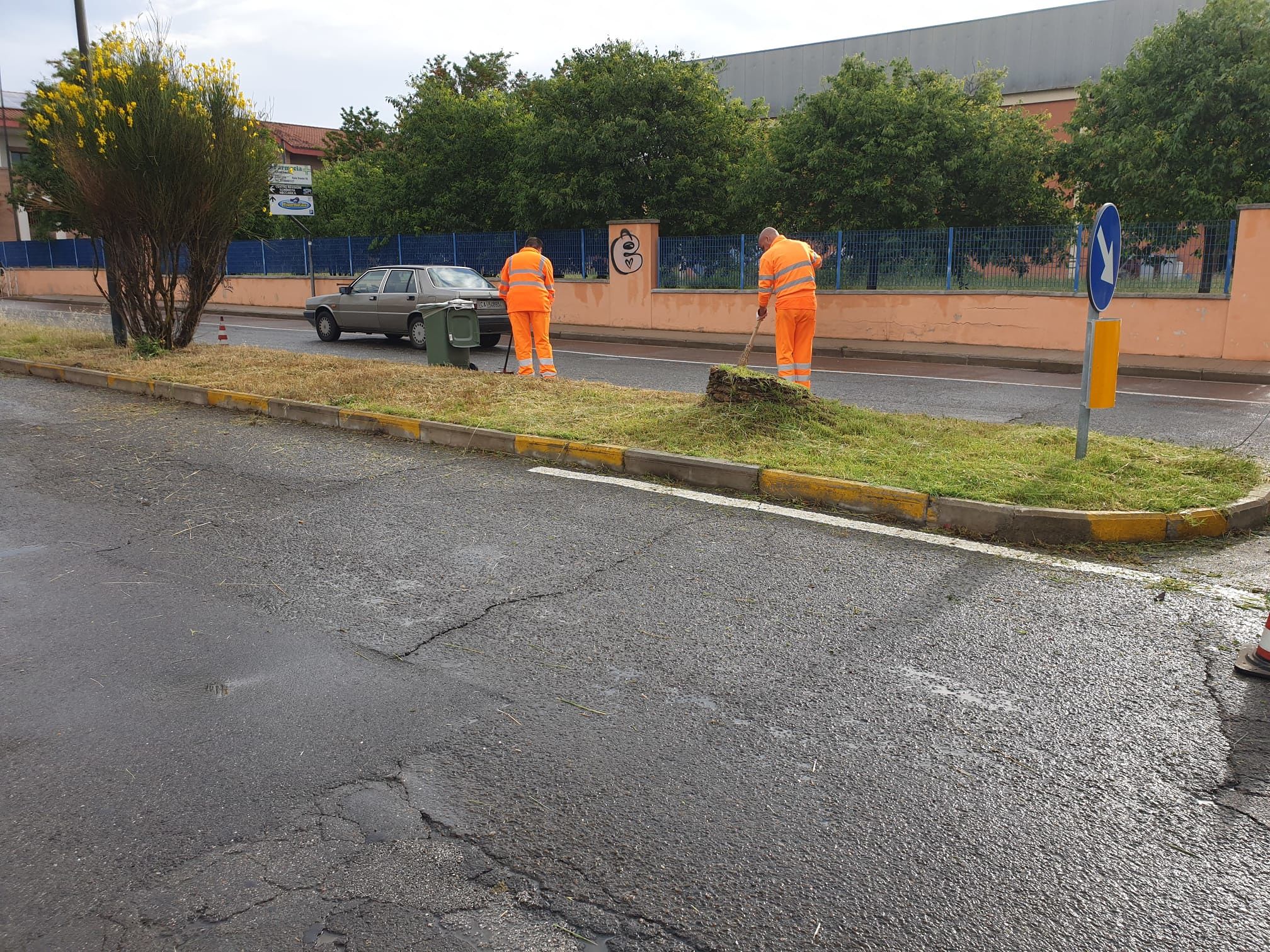 Selargius, il sindaco: “Non ci siamo dimenticati di parchi e giardini, ecco come comportarvi per blatte e topi”