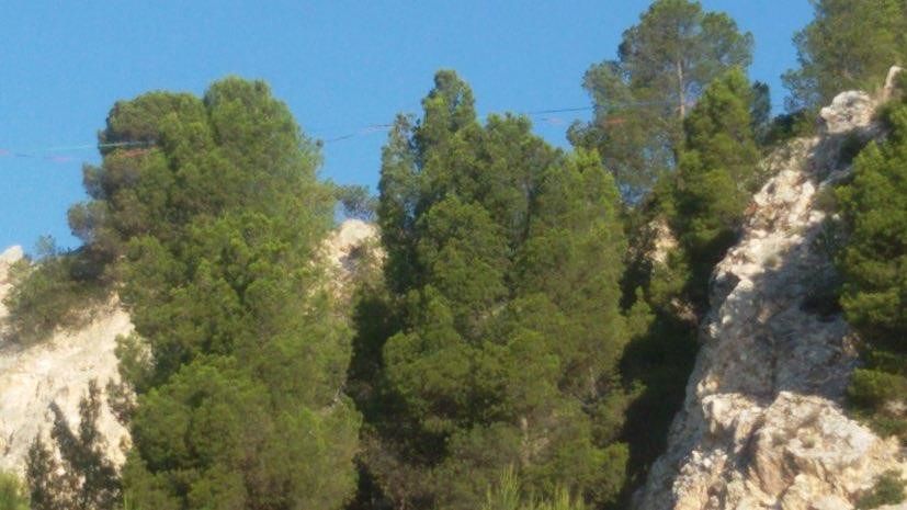 Monte Urpinu, statua “sfregiata” con tiranti cavi e moschettoni per fare funambolismo