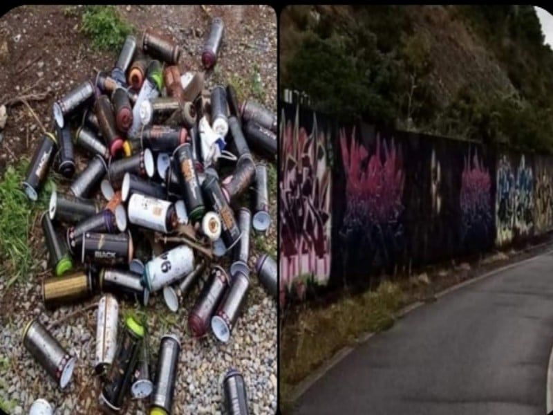 Writer “caddozzi” a Villamassargia: “Bombolette buttate tra i cespugli dopo i murales sulla Provinciale”