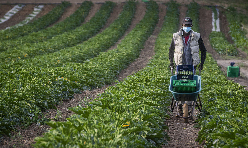 Regolarizzare il permesso di soggiorno, ecco come fare