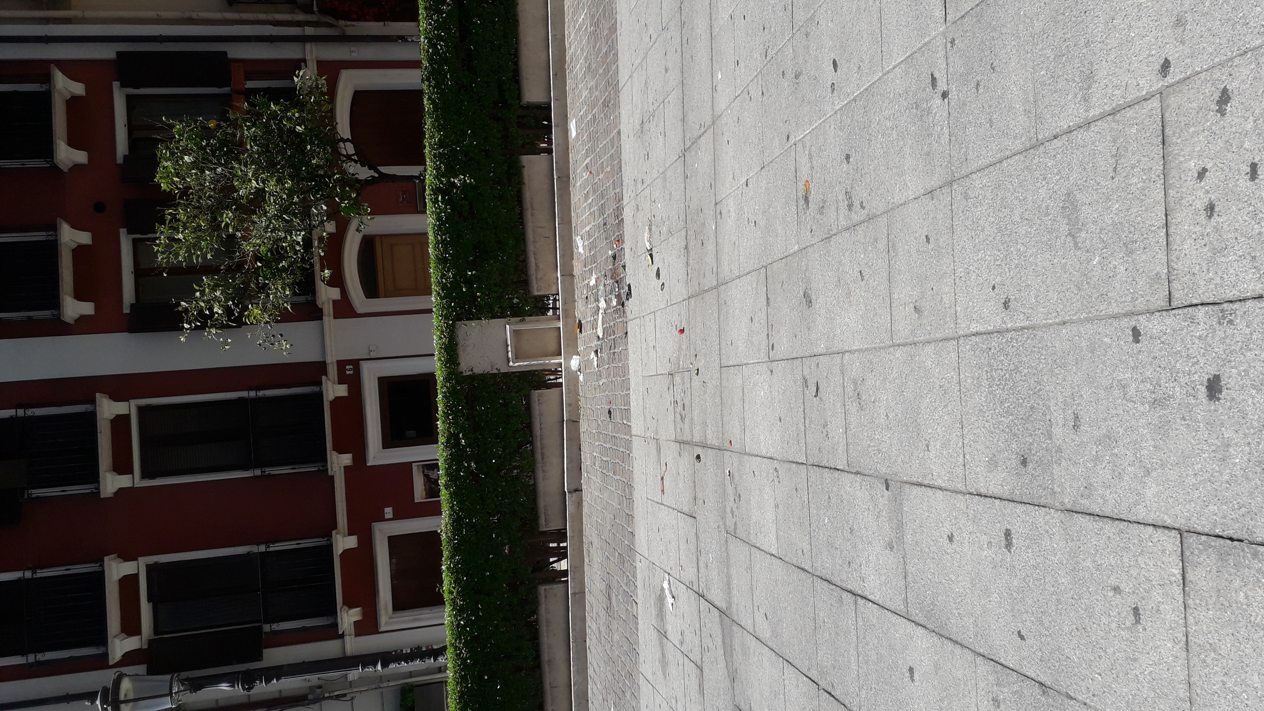 “Una distesa di rifiuti di frutti di mare sparsi nel salotto buono del Corso: ditelo a Truzzu che prometteva la pulizia”