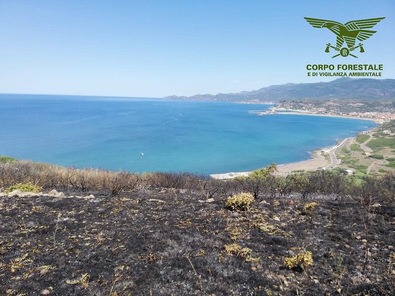Sardegna, 11 ettari di macchia mediterranea divorati dal fuoco a San Teodoro