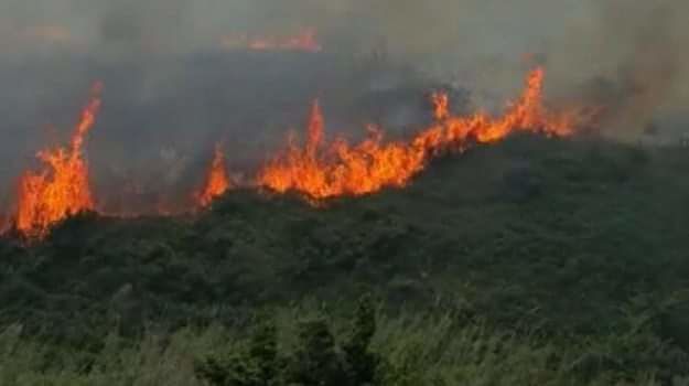 Paura per un incendio a Orosei, le fiamme raggiungono un’abitazione