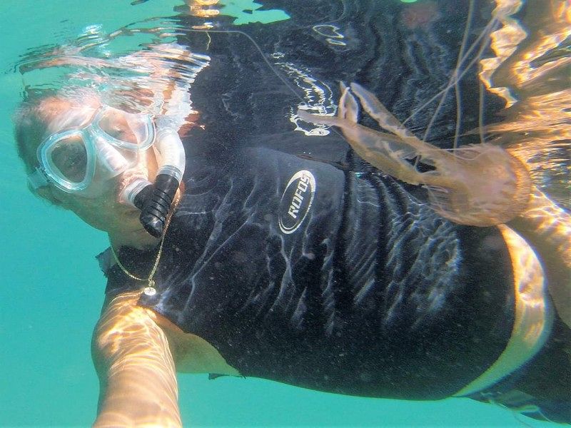 Cagliari, lo scirocco trascina al Poetto le maxi meduse: “Tutte urticanti, un’invasione” (VIDEO)